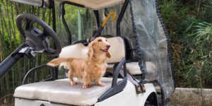 DO GOLF CARTS KEEP THEIR VALUE