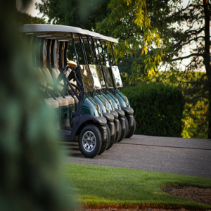 Sale Golf Carts