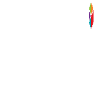 Dart’s Carts