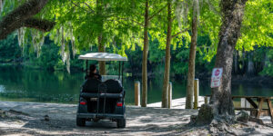 Golf Cart Laws